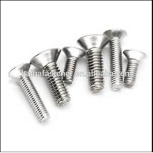 Venda direta de fábrica aço inoxidável Philips Flat Head Screw